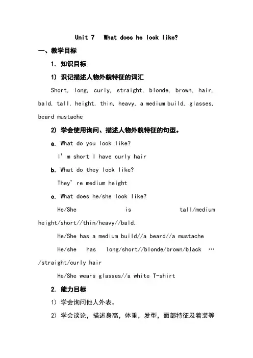 what-does-he-look-like教案