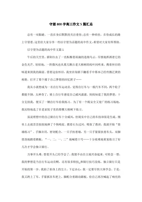守望800字高三作文5篇汇总