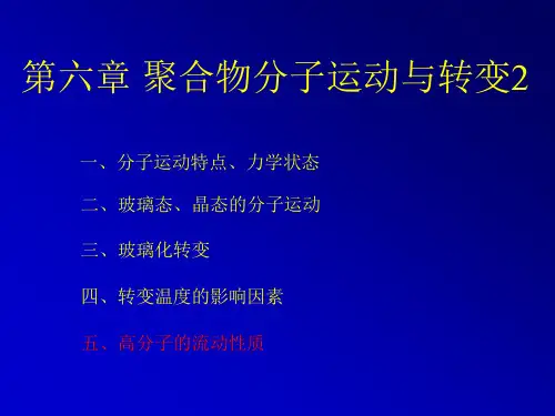 高分子物理第六章5