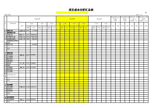 工程项目成本分析表1