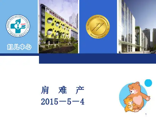 肩难产培训PPT课件