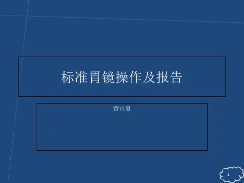 标准胃镜操作及报告