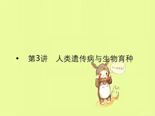 高考生物一轮复习第7单元生物的变异、育种和进化第3讲人类遗传病与生物育种课件