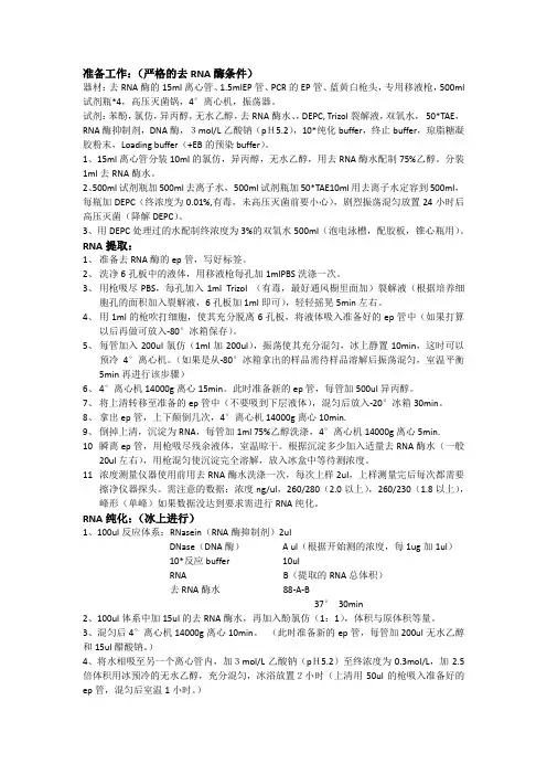 RNA提取纯化