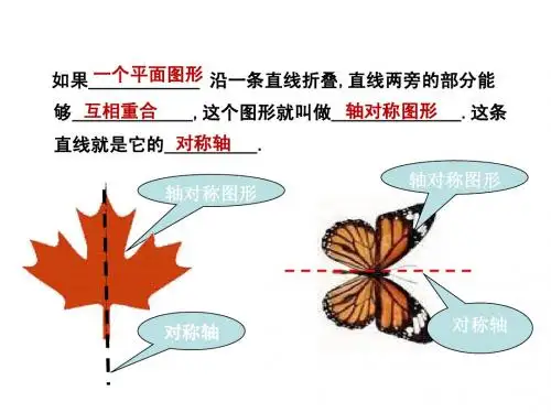 13章知识点