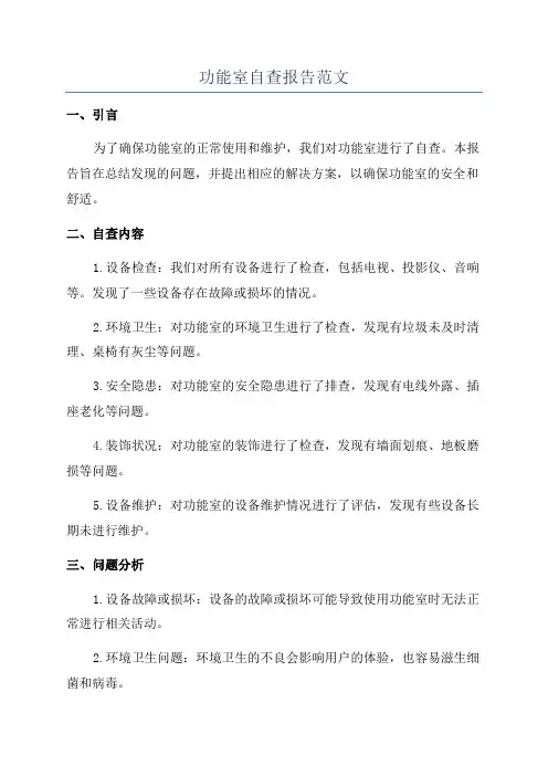 功能室自查报告范文