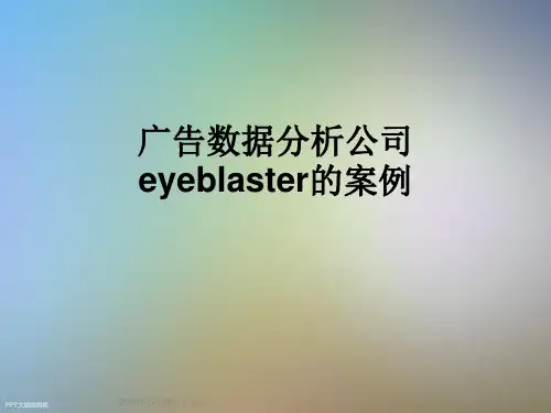 广告数据分析公司eyeblaster的案例