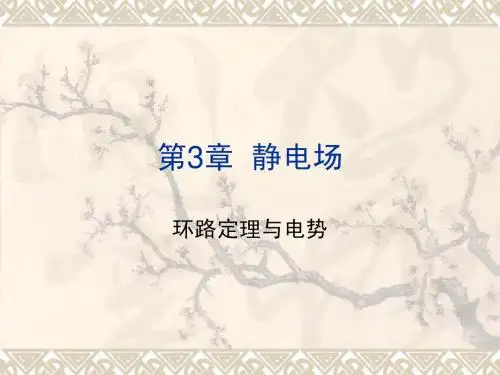 3-3 环路定理