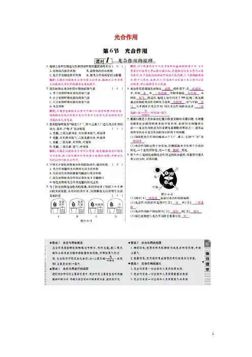【高效课时通】2014-2015学年八年级科学下册 第3章 第6节 光合作用检测试题