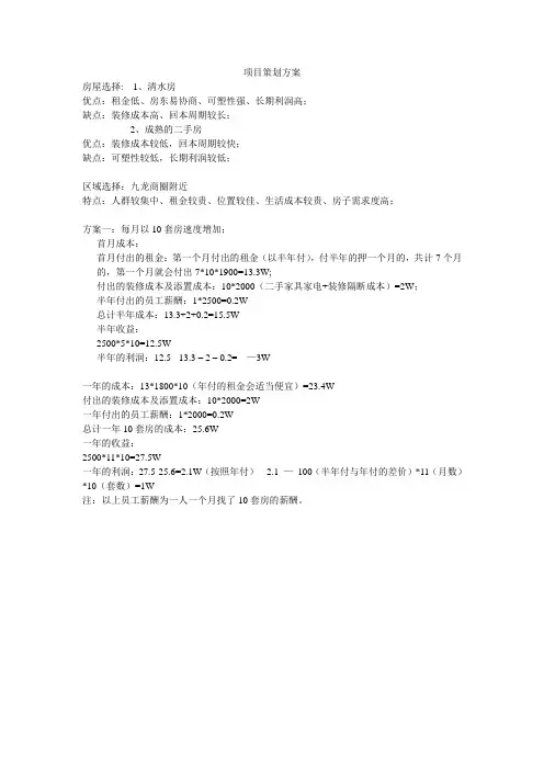 二房东项目策划方案