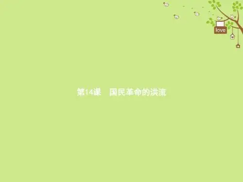 2017-2018学年八年级历史上册第三单元新民主主义革命的兴起第14课国民革命的洪流课件北师大版