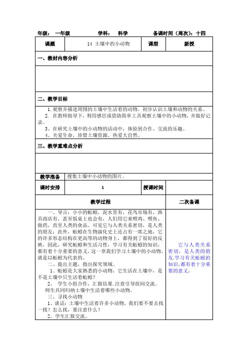 一年级科学下册《土壤中的小动物》教案