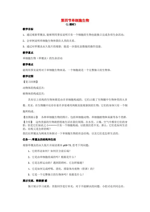 新人教版七年级生物上册：单细胞生物教案