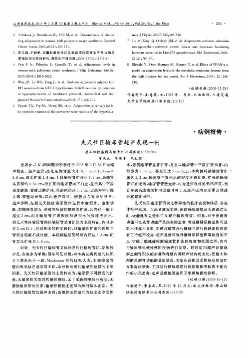 先天性巨输尿管超声表现一例