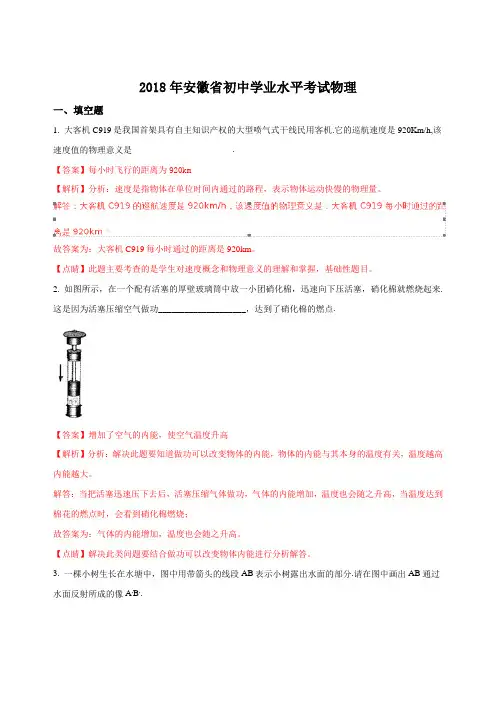 2018年安徽省中考物理真题试题含答案解析 2