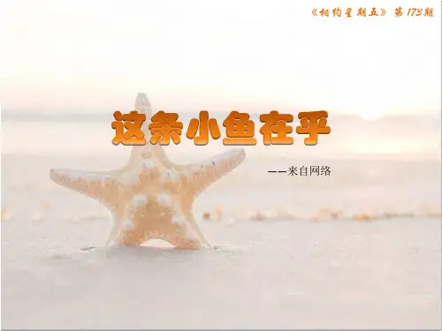 相约星期五第7期-这条小鱼在乎475