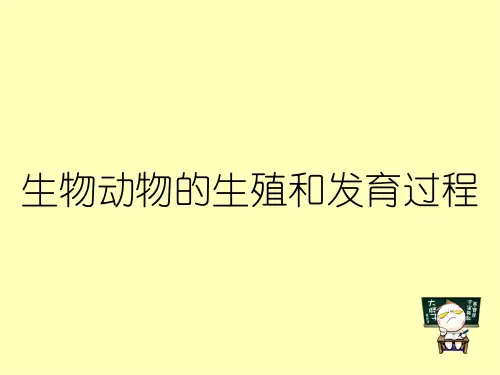 生物动物的生殖和发育过程