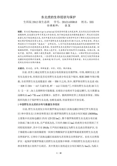 东北虎的生存现状与保护讲解