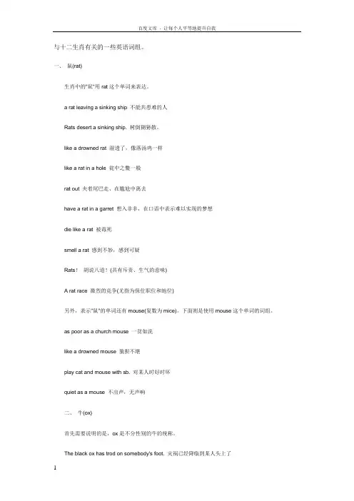 与十二生肖有关的一些英语词组
