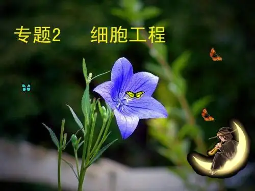 细胞工程复习课件