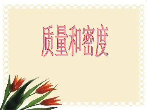 密度PPT教学研究课件