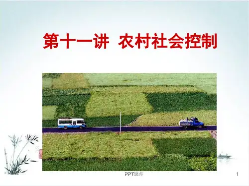农村社会学第十一章农村社会控制  ppt课件
