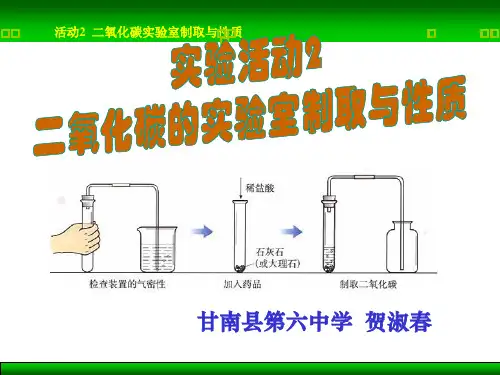 初中化学人教版九年级上册实验活动2 二氧化碳的实验室制取与性质