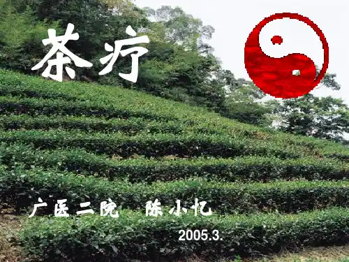中医茶疗