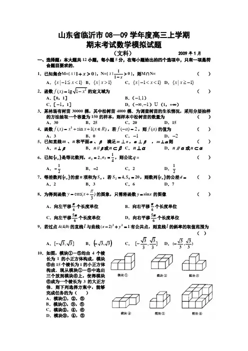 山东省临沂市08—09学年度高三数学上学期期末考试模拟试题 (文科)