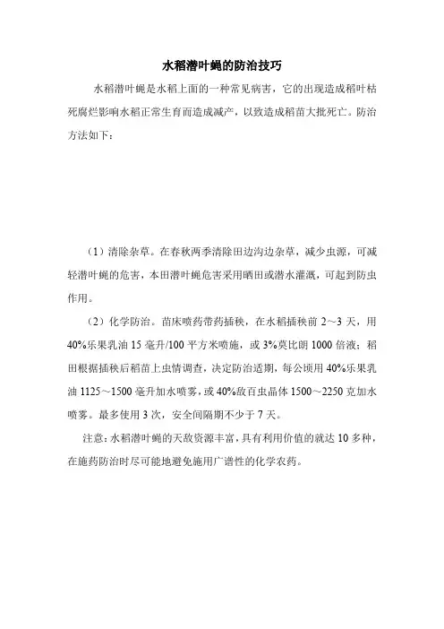 水稻潜叶蝇的防治技巧