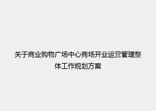 购物中心营运方案