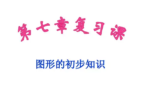 6.10图形的初步知识复习课