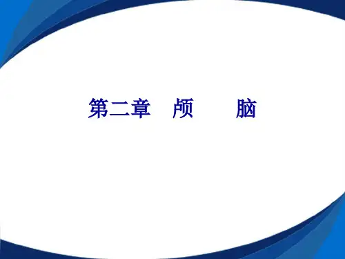 第二章--颅-脑