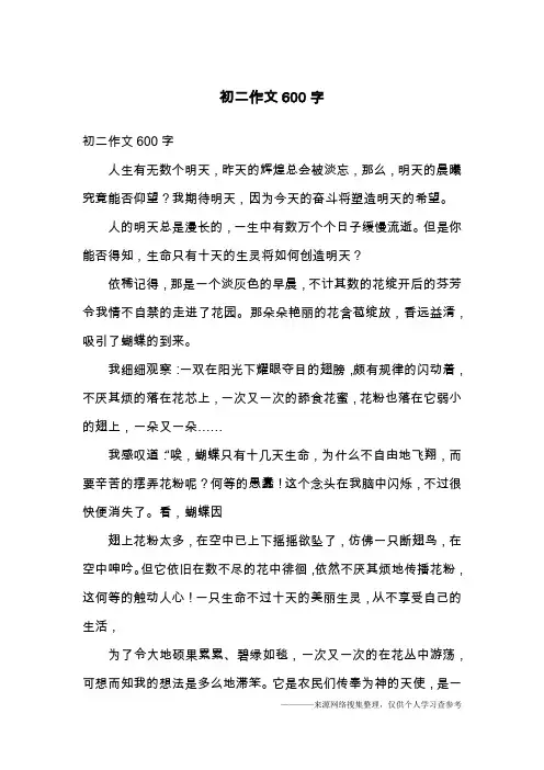 初二作文600字