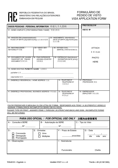 巴西申请表