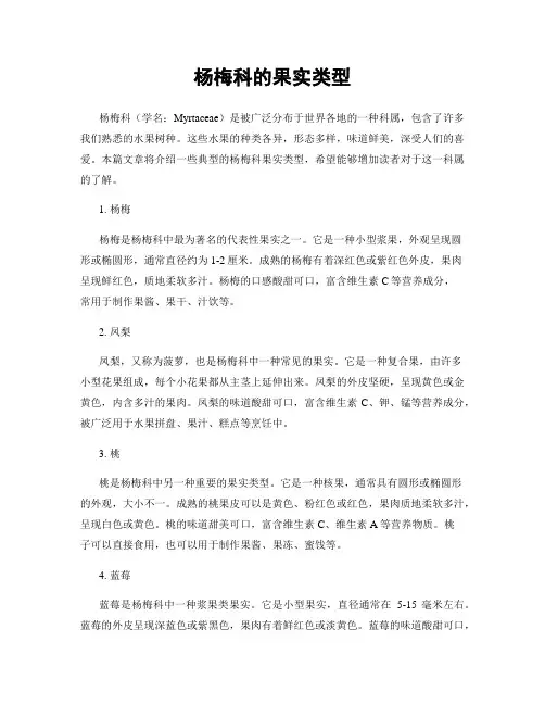 杨梅科的果实类型