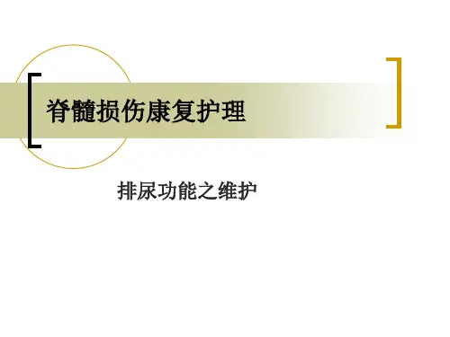 脊髓损伤康复护理