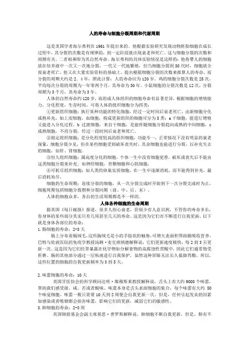 人体细胞分裂周期和代谢周期