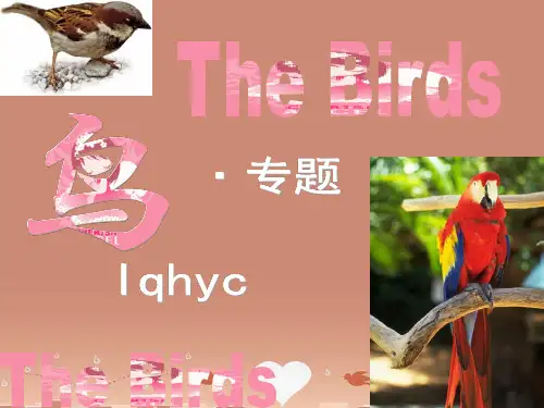 6月八年级语文下册 专题《鸟》课件 苏教版