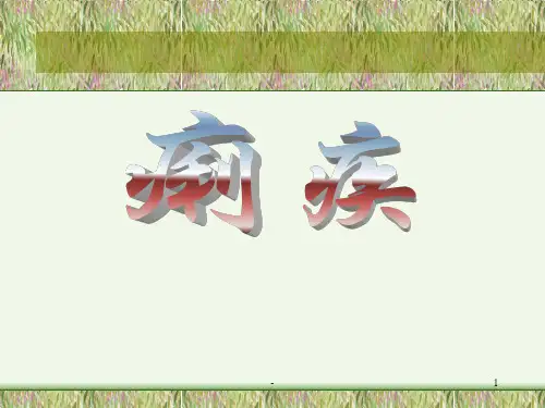 痢疾PPT课件