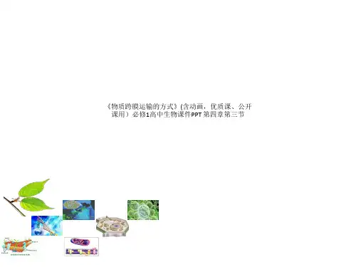 《物质跨膜运输的方式》(含动画,优质课、公开课用)必修1高中生物课件PPT 第四章第三节