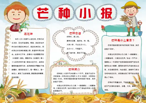【精选电子小报】24节气手抄报之芒种小报Word模板