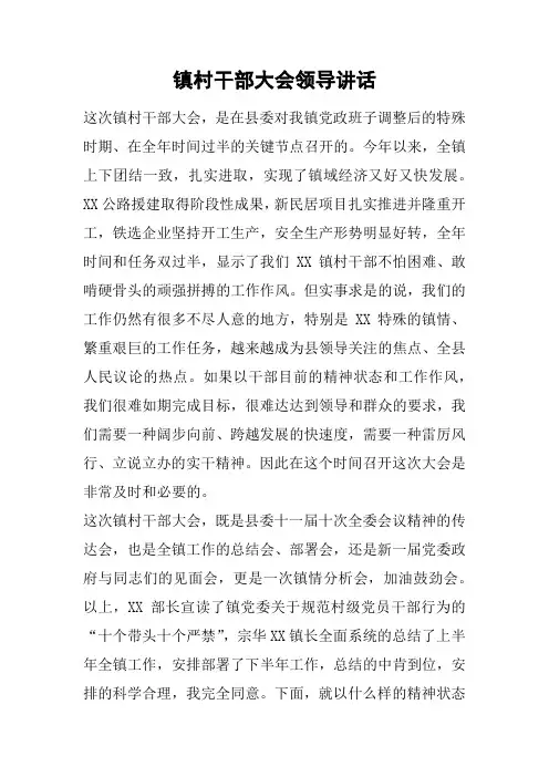 镇村干部大会领导讲话