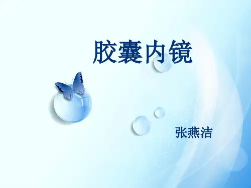 胶囊内镜PPT参考幻灯片