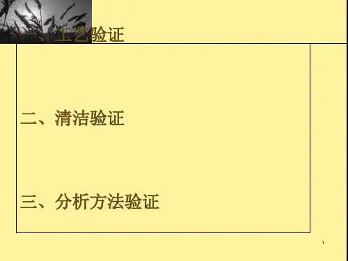 某医药工艺验证和分析方法验证(ppt 76页)