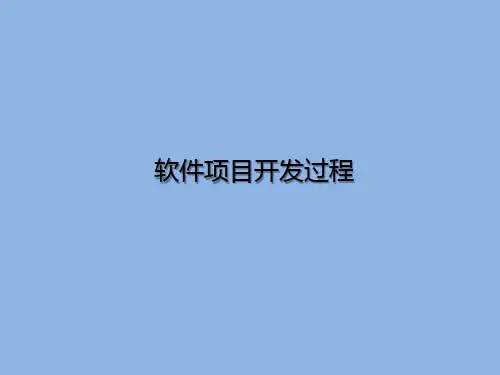 软件项目开发过程