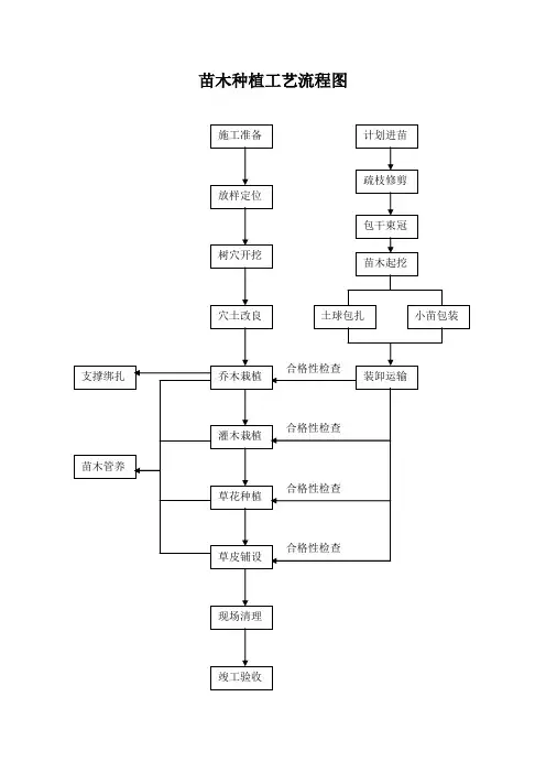 苗木种植工艺流程图