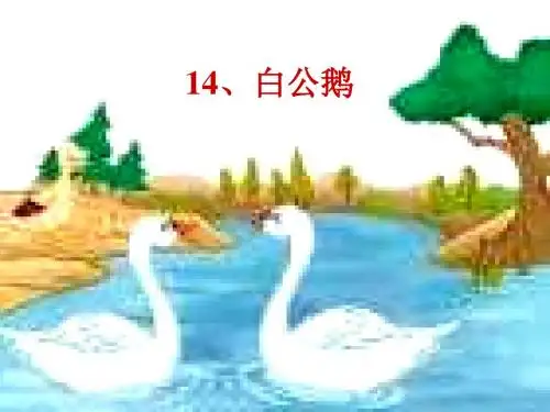 四年级语文白公鹅2