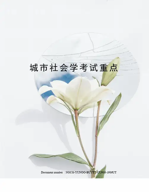 城市社会学考试重点