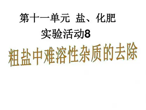 2016-2017学年九年级化学下册课件_实验活动8粗盐中难溶性杂质的去除 (共32张PPT)